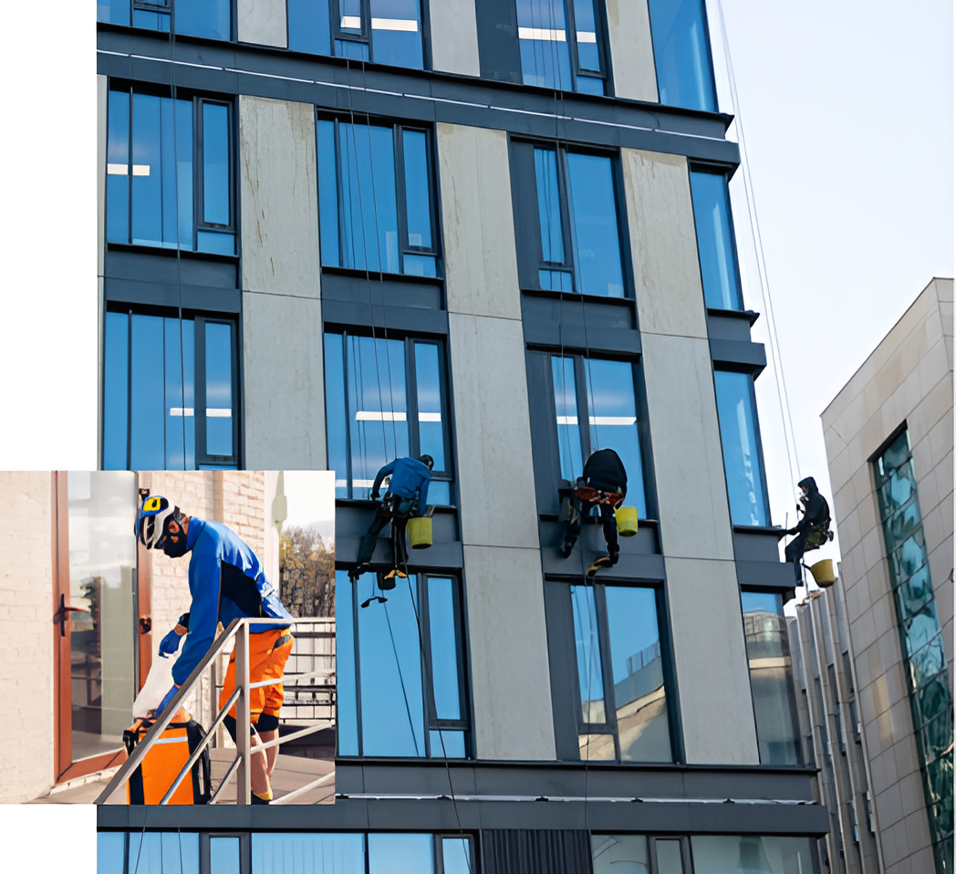 About MR HAMID GROUP