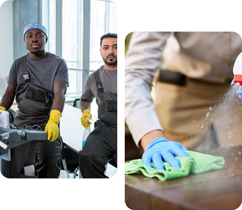 About MR HAMID GROUP