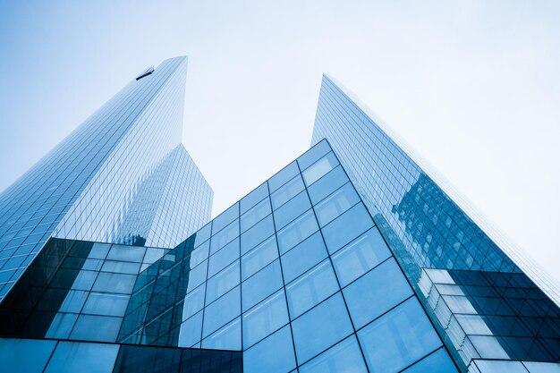 Our Team - MR HAMID GROUP